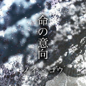 九九精品超级碰视频
