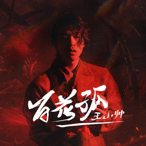 九九精品超级碰视频
